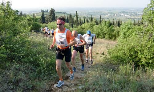 Trail Soave-Bolca - a running event in the Province of Verona in Italy (Copyright © 2011 Hendrik Böttger / Run International EU)